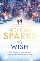 book cover for The Wish