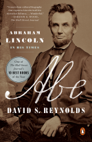 book cover for Abe