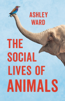book cover for The Social Lives of Animals