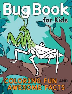 book cover for Bug Book for Kids