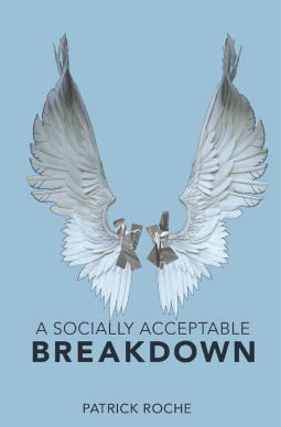 book cover for A Socially Acceptable Breakdown