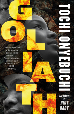book cover for Goliath