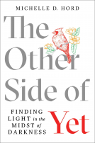 book cover for The Other Side of Yet