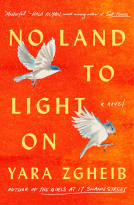 book cover for No Land to Light On