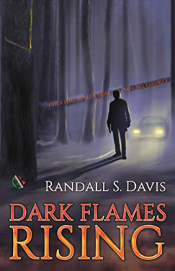 book cover for DARK FLAMES RISING