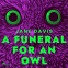 book cover for A Funeral for an Owl