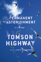 book cover for Permanent Astonishment