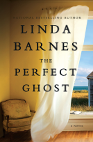 book cover for The Perfect Ghost