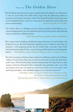book cover for The Golden Shore