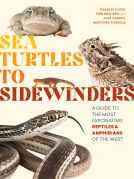 book cover for Sea Turtles to Sidewinders