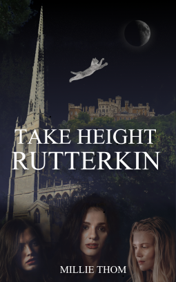 book cover for Take Height, Rutterkin