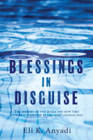book cover for BLESSINGS IN DISGUISE