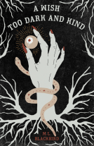 book cover for A Wish Too Dark And Kind