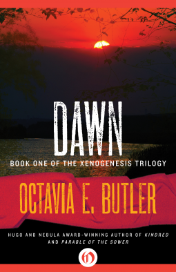 book cover for Dawn