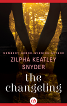 book cover for The Changeling