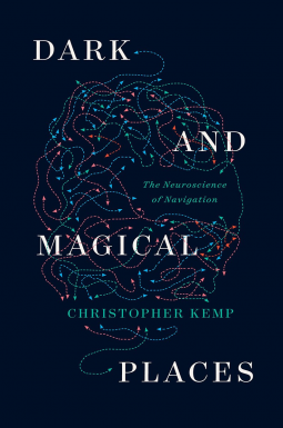 book cover for Dark and Magical Places