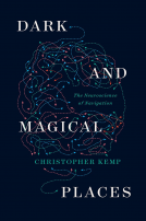book cover for Dark and Magical Places