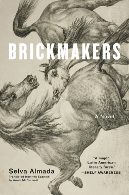 book cover for Brickmakers