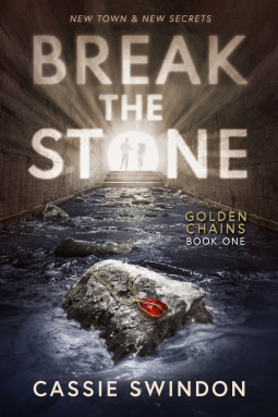 book cover for Break the Stone