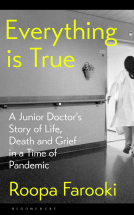 book cover for Everything is True