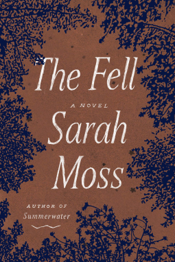book cover for The Fell