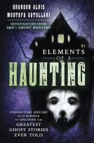 book cover for Elements of a Haunting