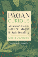 book cover for Pagan Curious