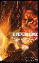 book cover for The Unexpected Journey