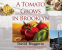 Cover Image: A Tomato Grows in Brooklyn