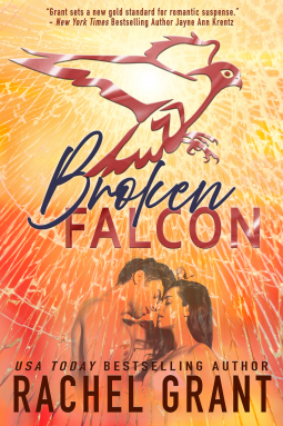 book cover for Broken Falcon