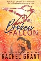 book cover for Broken Falcon