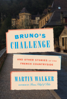book cover for Bruno's Challenge