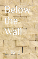 book cover for Below the Wall