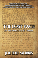 book cover for The Lost Page