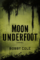book cover for Moon Underfoot