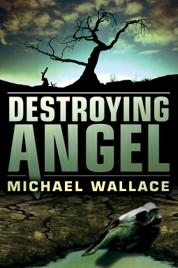 book cover for Destroying Angel