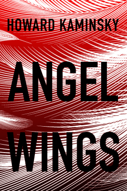 book cover for Angel Wings