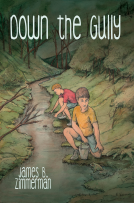 book cover for Down the Gully