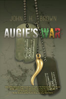 book cover for Augie's War