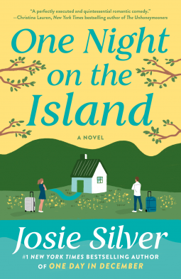 book cover for One Night on the Island