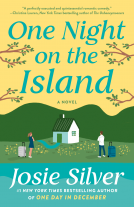 book cover for One Night on the Island