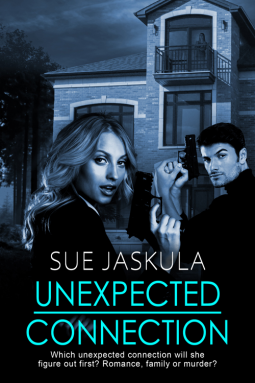 book cover for Unexpected Connection