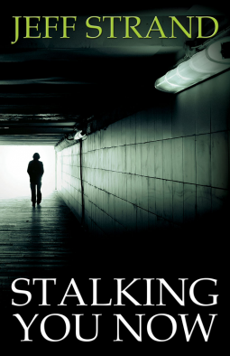 book cover for Stalking You Now