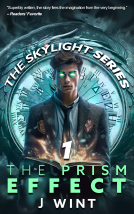 book cover for The Prism Affect