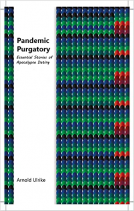 book cover for Pandemic Purgatory