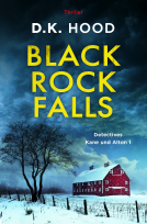 Buchcover für Black Rock Falls: Thriller