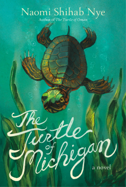 book cover for The Turtle of Michigan