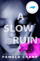 book cover for A Slow Ruin