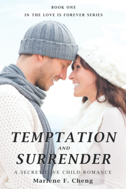 book cover for Temptation and Surrender: A Secret Love Child Romance
