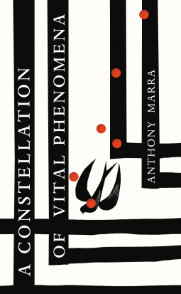 book cover for A Constellation of Vital Phenomena